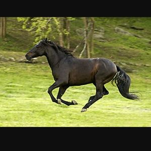 Meet your Posher, Danny